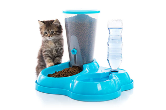 A bowls & feeders